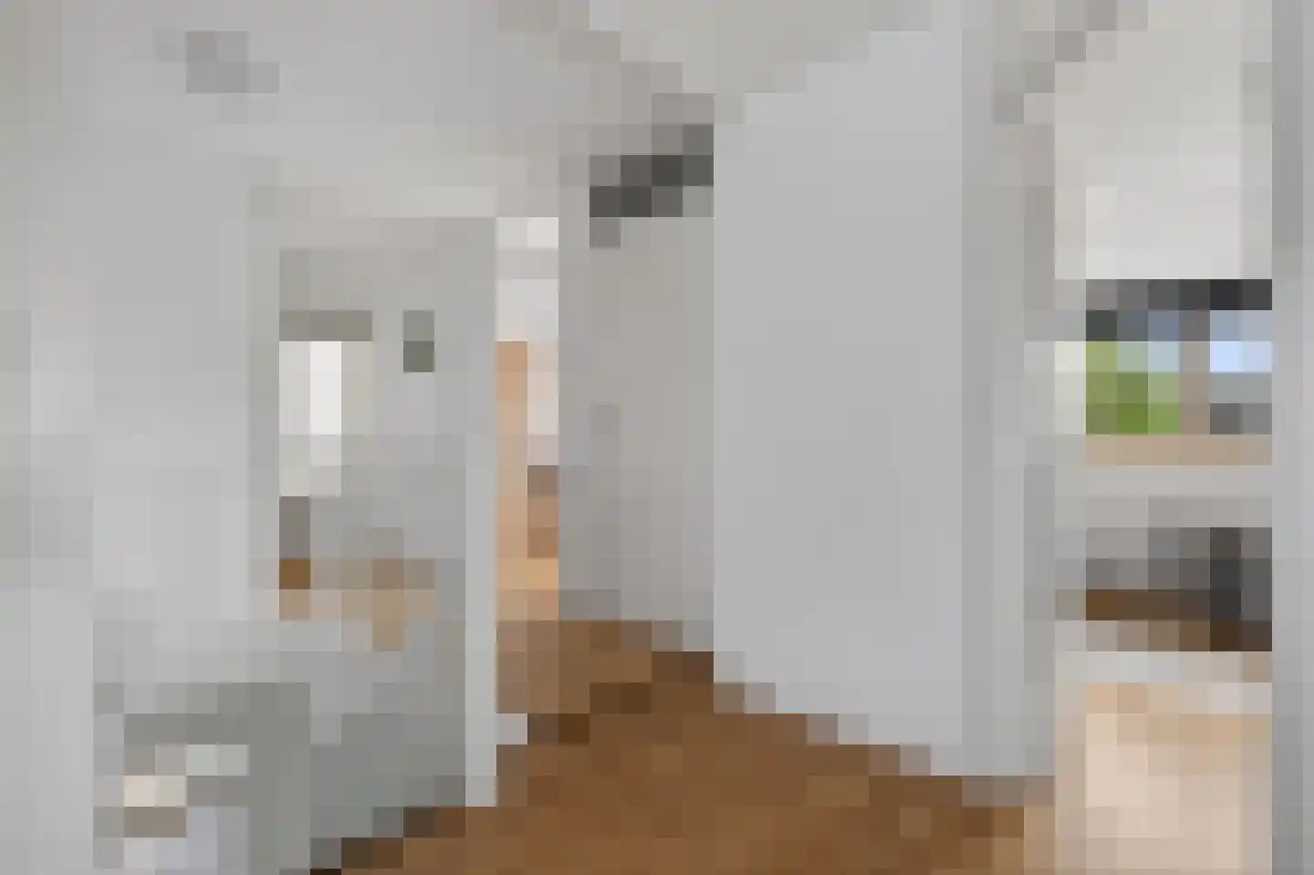Smidstraat 10 Gendt thumbnail 39