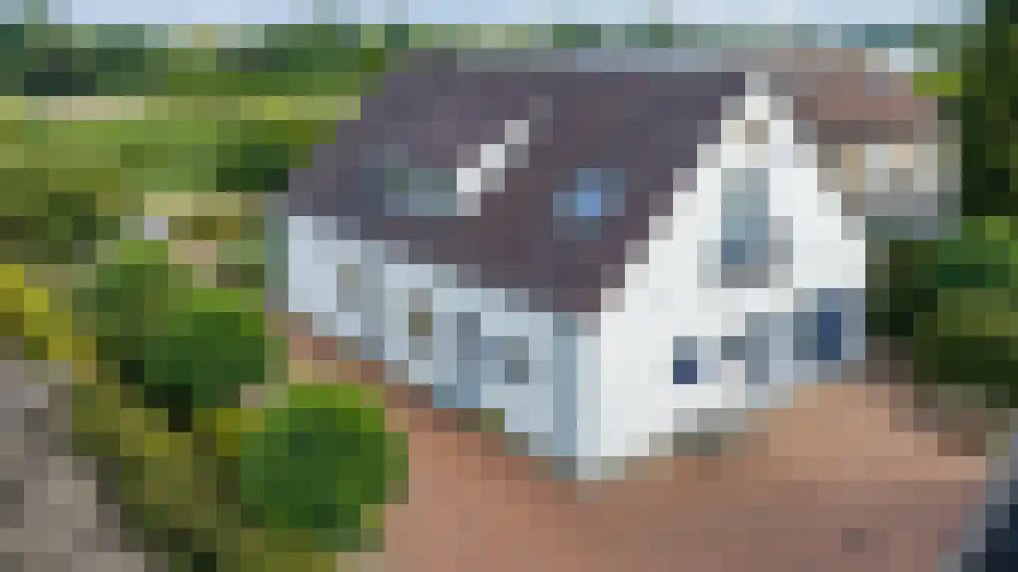 Smidstraat 10 Gendt thumbnail 5