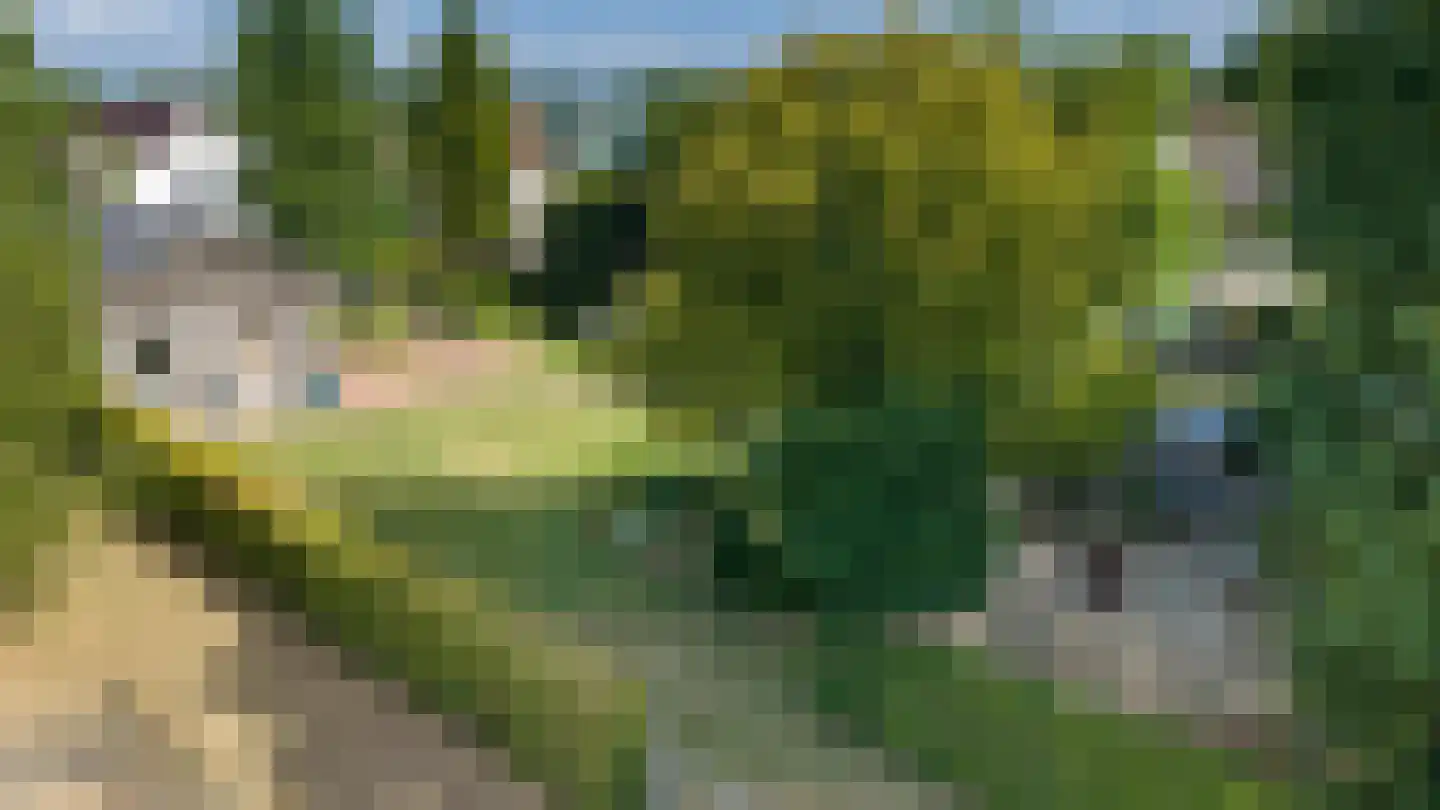 Smidstraat 10 Gendt thumbnail 53