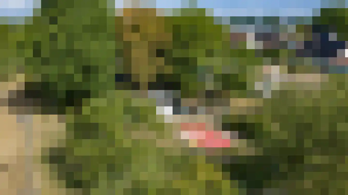Smidstraat 10 Gendt thumbnail 55