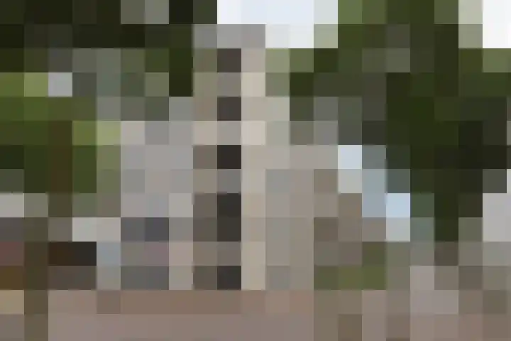 Smidstraat 163 Cuijk thumbnail 6