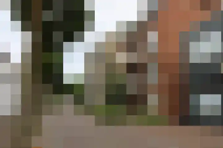 Smidstraat 163 Cuijk thumbnail 8