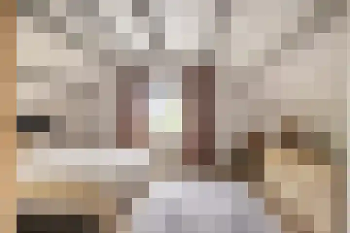 Smidstraat 17 Lobith thumbnail 33