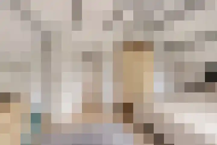 Smidstraat 17 Lobith thumbnail 36