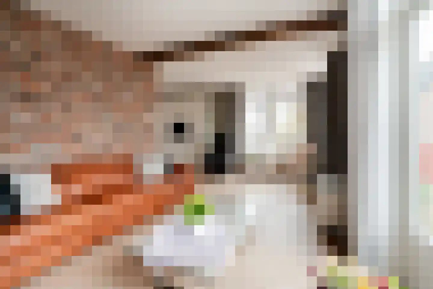 Smidstraat 18 Lobith thumbnail 18