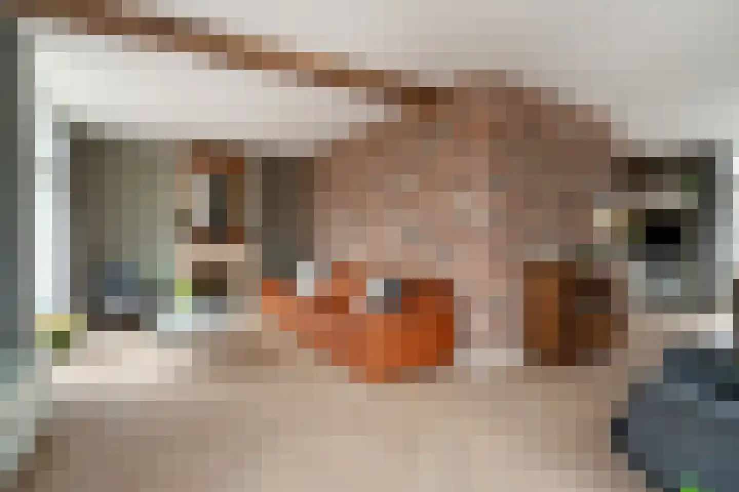 Smidstraat 18 Lobith thumbnail 22