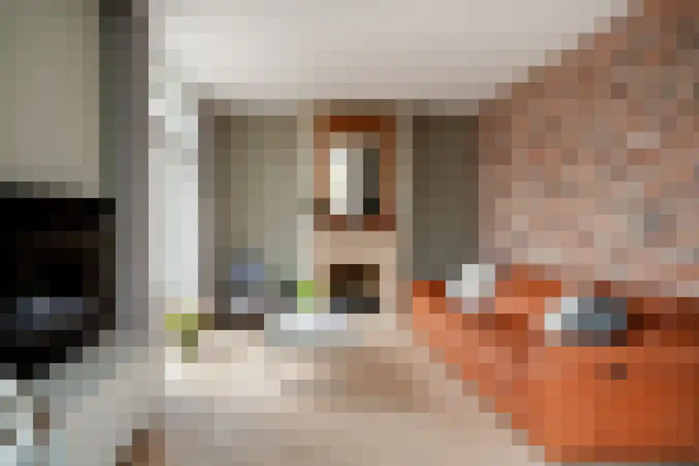 Smidstraat 18 Lobith thumbnail 23