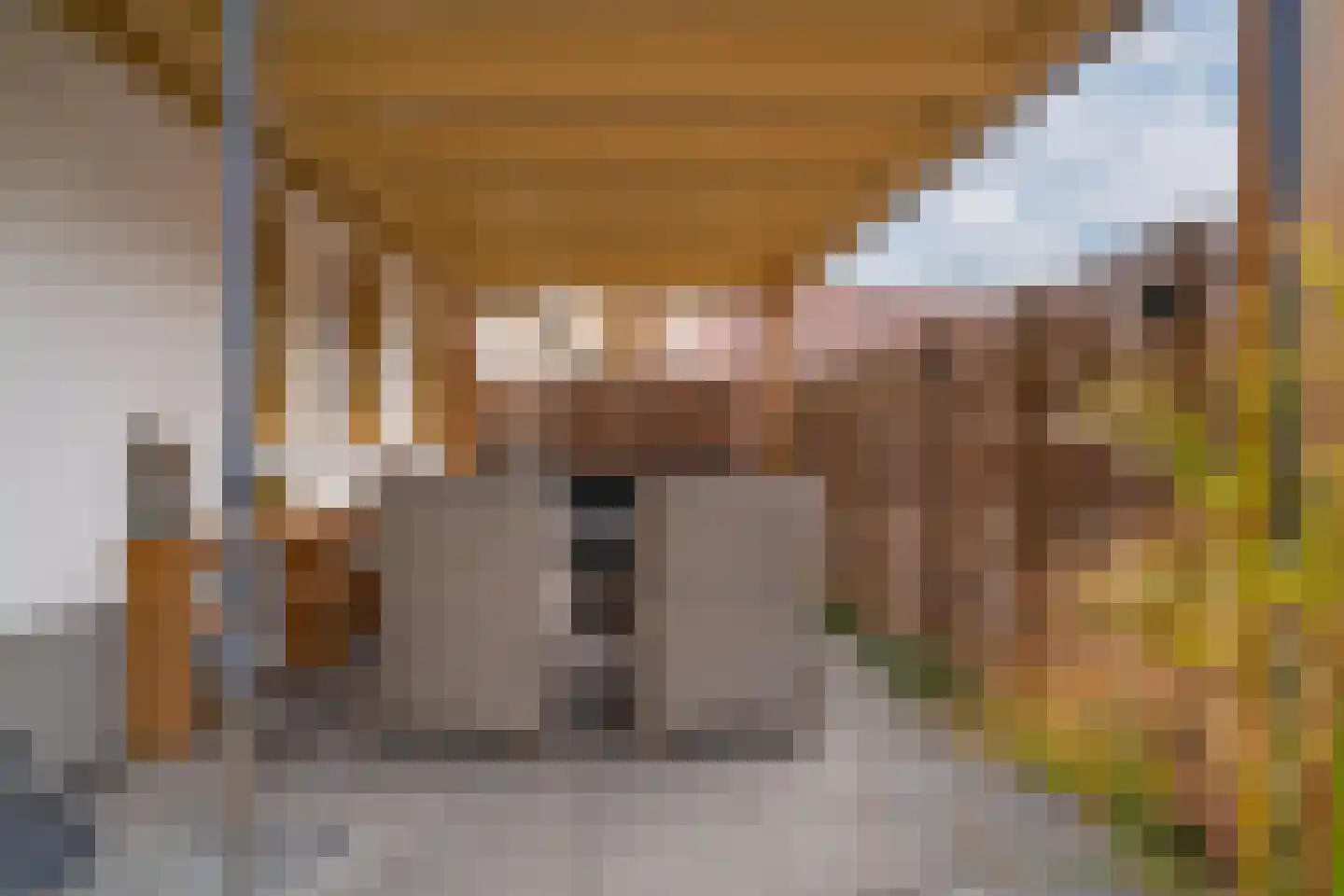 Smidstraat 18 Lobith thumbnail 37