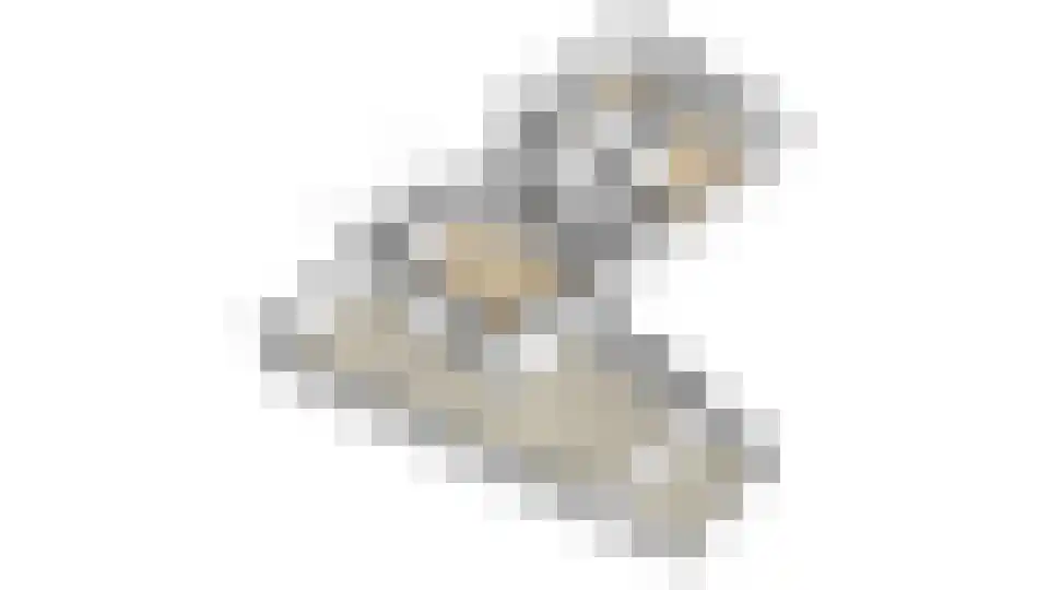 Smidstraat 18 Lobith thumbnail 62