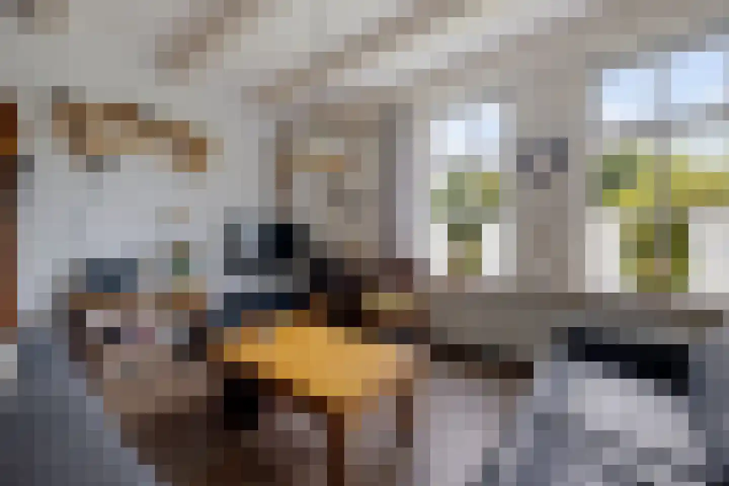 Smidstraat 18 Schraard thumbnail 16