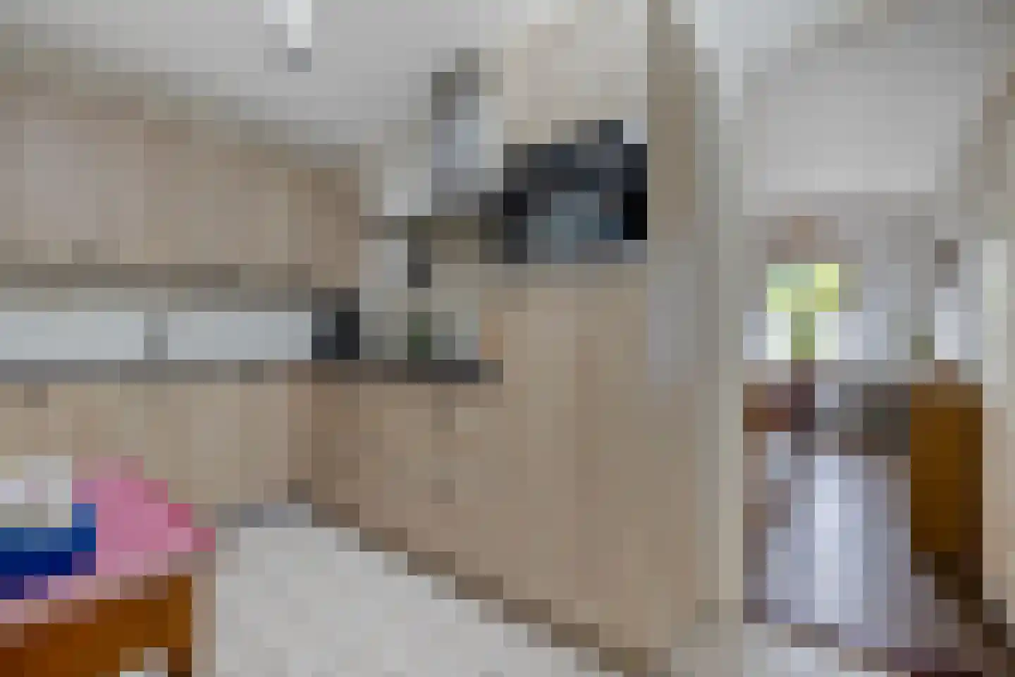 Smidstraat 18 Schraard thumbnail 19