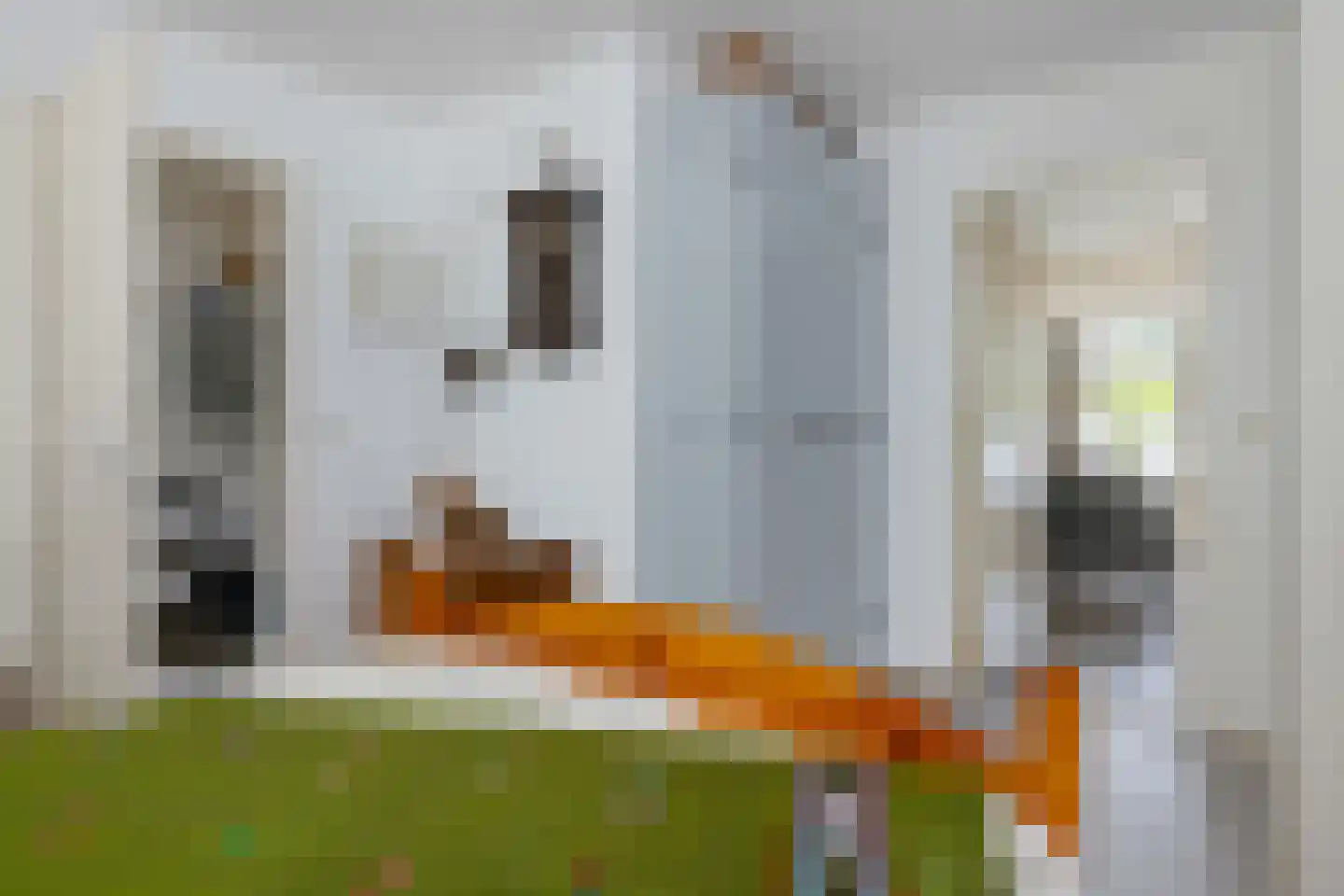 Smidstraat 18 Schraard thumbnail 29