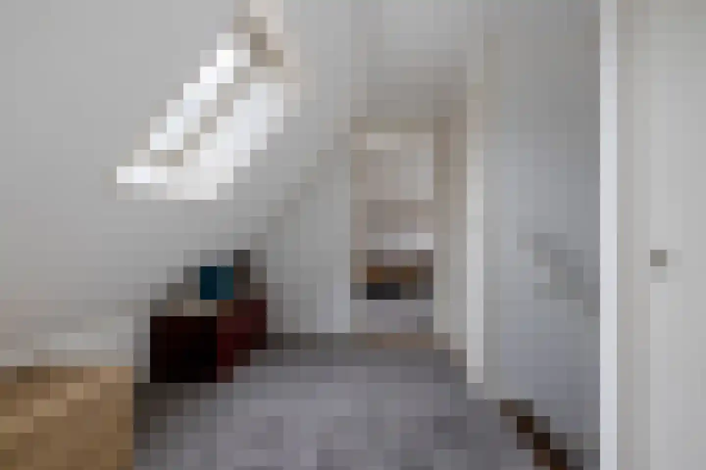 Smidstraat 18 Schraard thumbnail 34