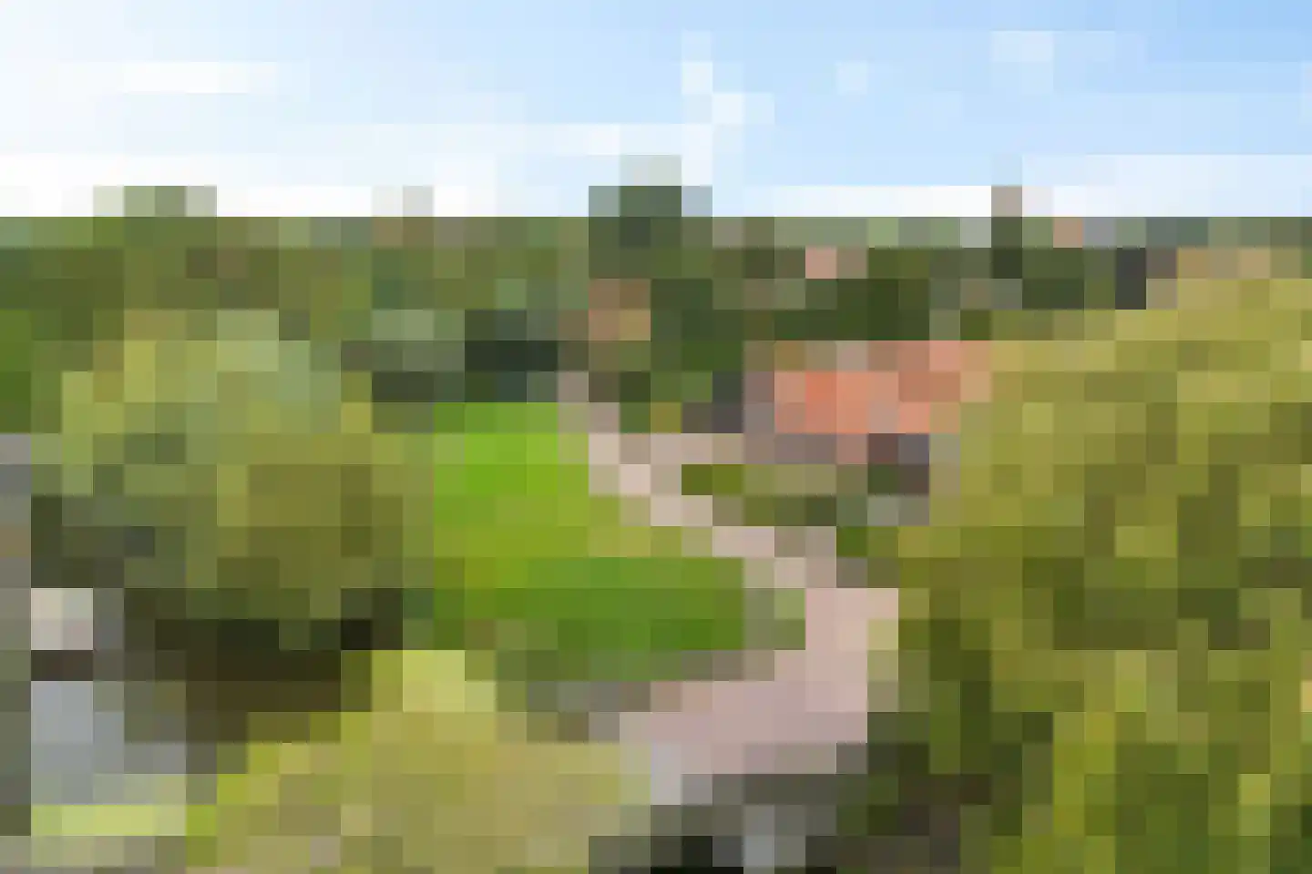 Smidstraat 18 Schraard thumbnail 62