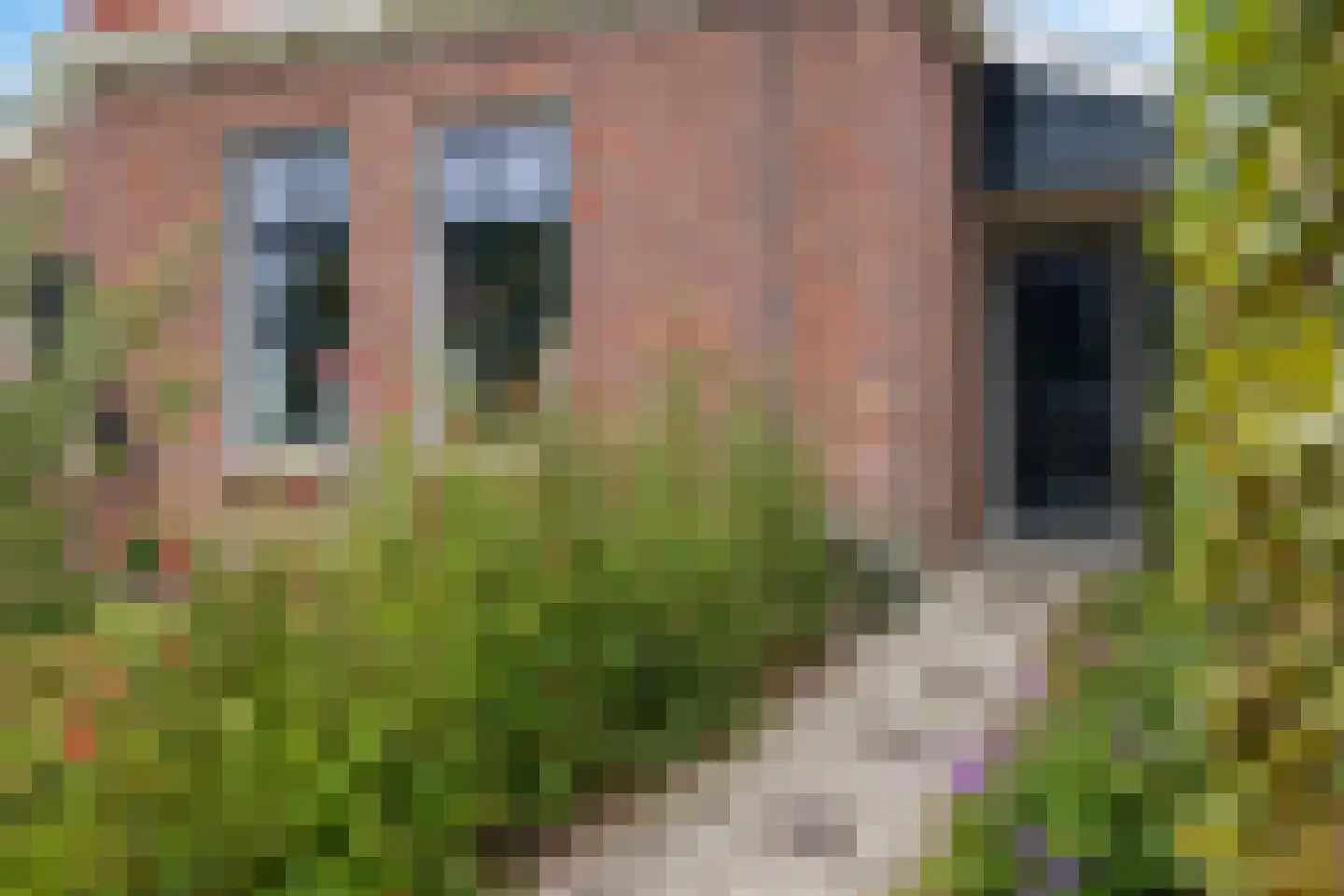 Smidstraat 18 Schraard thumbnail 7