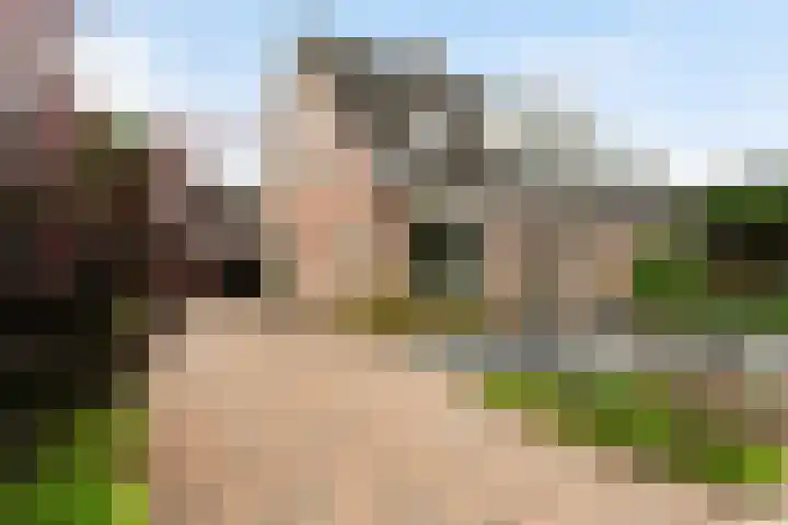 Smidstraat 20 Ederveen thumbnail 36