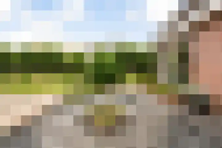 Smidstraat 20 Ederveen thumbnail 37