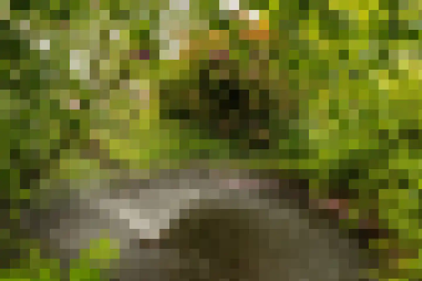 Smidstraat 23 Garderen thumbnail 32