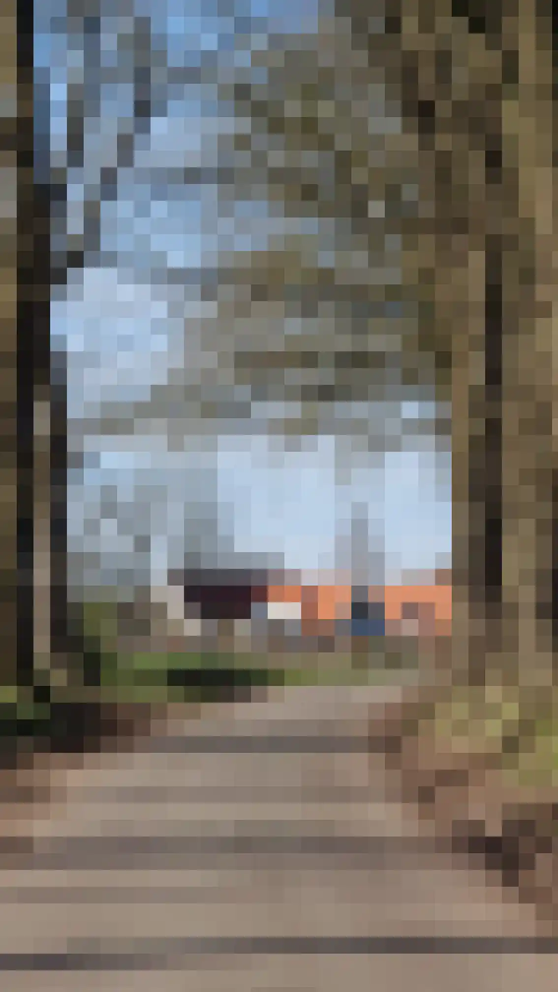 Smidstraat 23 Garderen thumbnail 37