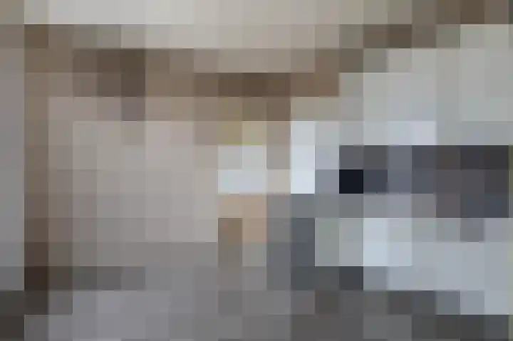 Smidstraat 5 Hunsel thumbnail 13