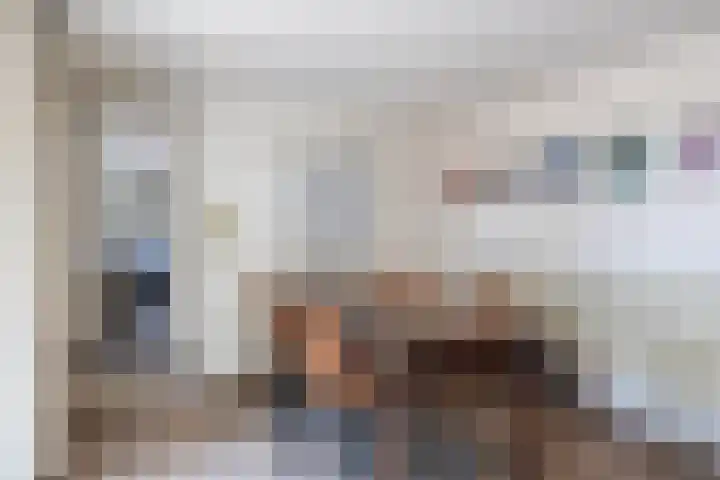 Smidstraat 5 Hunsel thumbnail 20