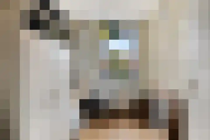 Smidstraat 5 Hunsel thumbnail 31