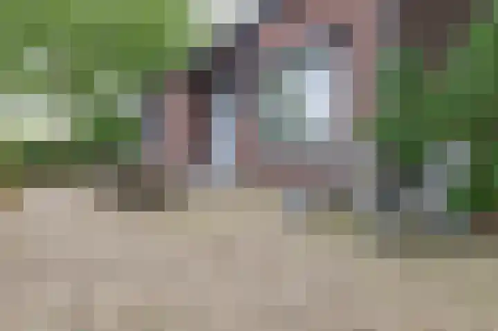 Smidstraat 5 Hunsel thumbnail 34