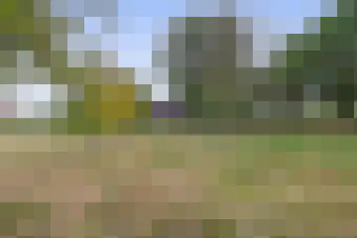 Smidstraat 5 Hunsel thumbnail 35