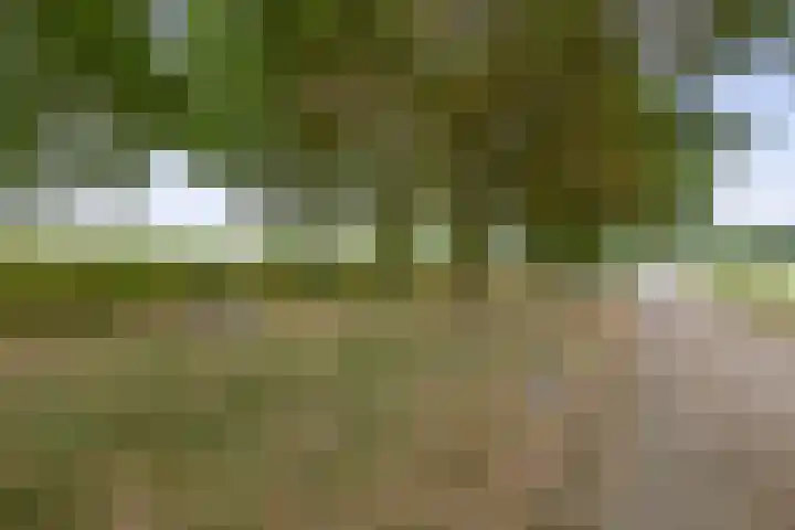 Smidstraat 5 Hunsel thumbnail 39
