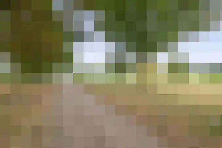 Smidstraat 5 Hunsel thumbnail 4