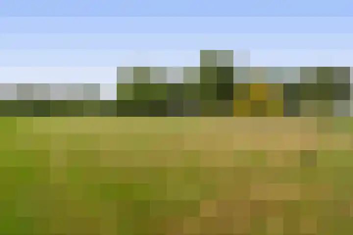 Smidstraat 5 Hunsel thumbnail 40