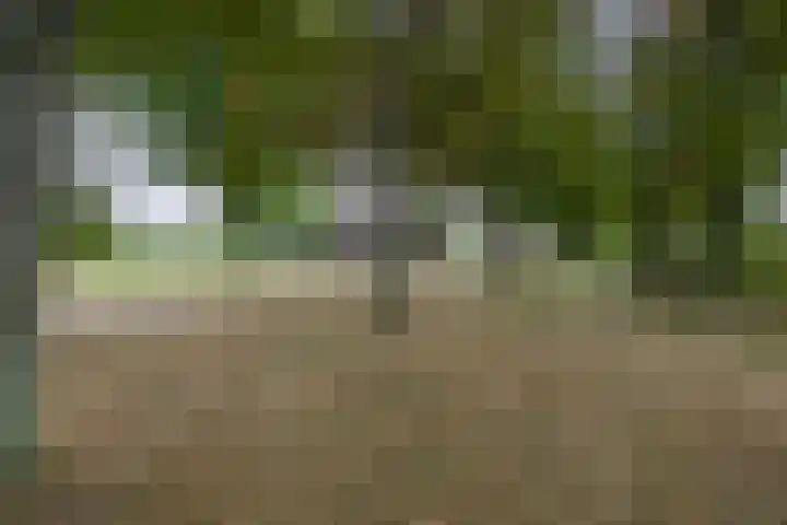 Smidstraat 5 Hunsel thumbnail 5