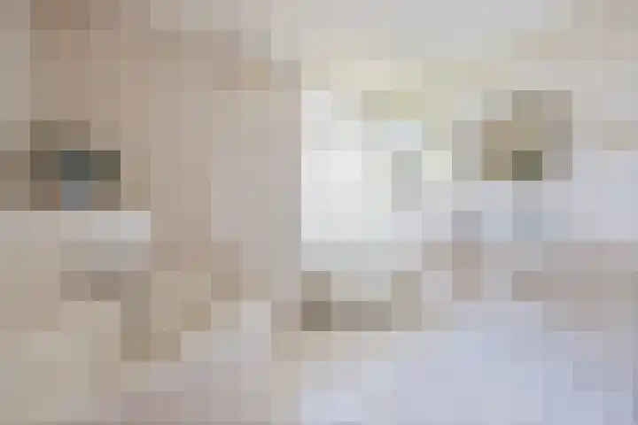Smidstraat 6 Stavoren thumbnail 12