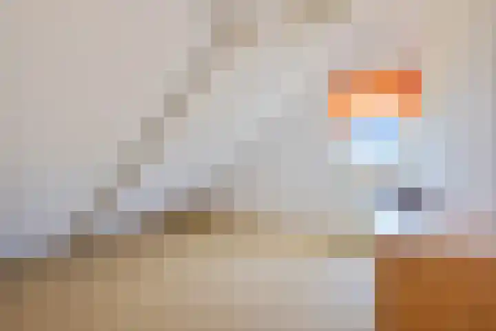 Smidstraat 6 Stavoren thumbnail 32