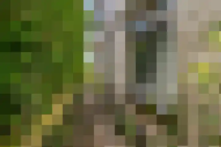 Smidstraat 6 Stavoren thumbnail 35