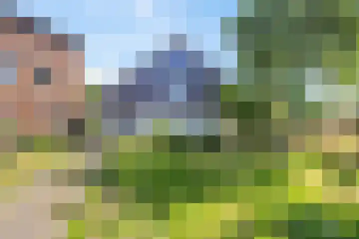 Smidstraat 6 Stavoren thumbnail 37