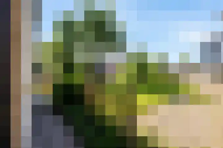 Smidstraat 6 Stavoren thumbnail 42