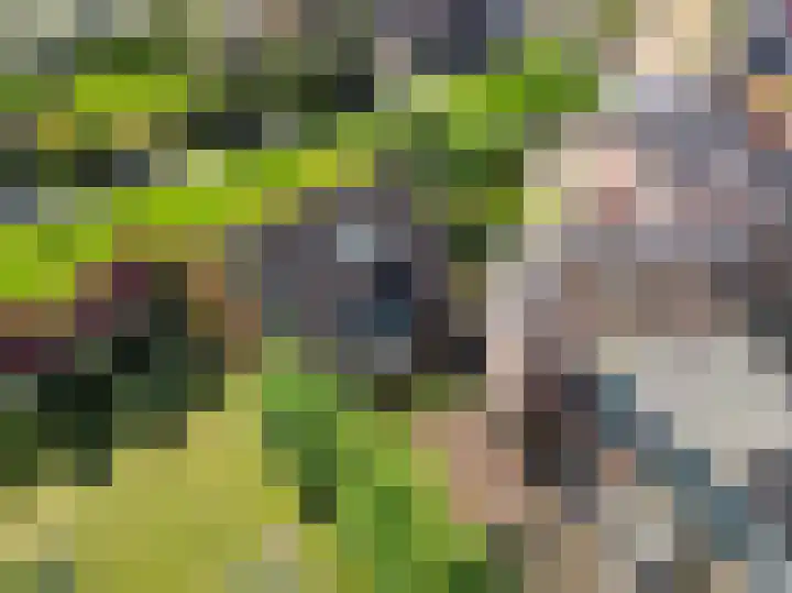 Smidstraat 6 Stavoren thumbnail 44