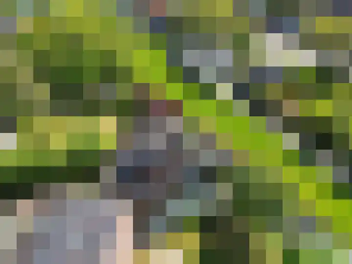 Smidstraat 6 Stavoren thumbnail 45