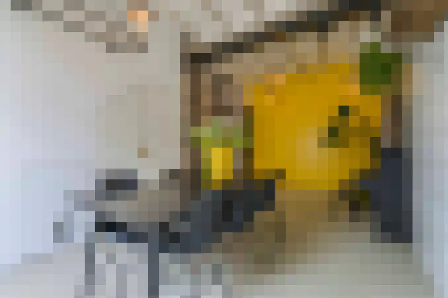 Smidstraat 76 Rijnsburg thumbnail 11