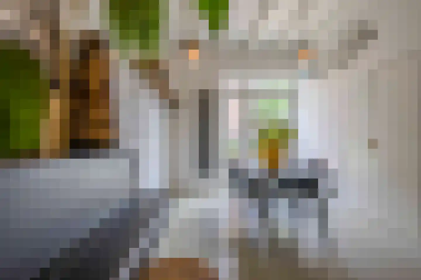 Smidstraat 76 Rijnsburg thumbnail 9