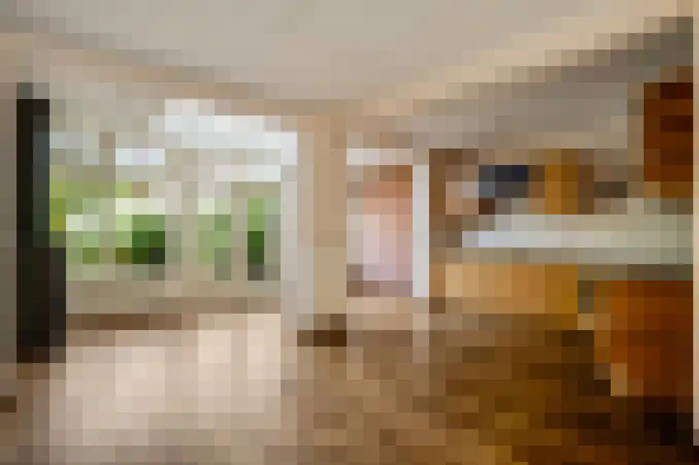 Smidstraat 9 Sevenum thumbnail 17