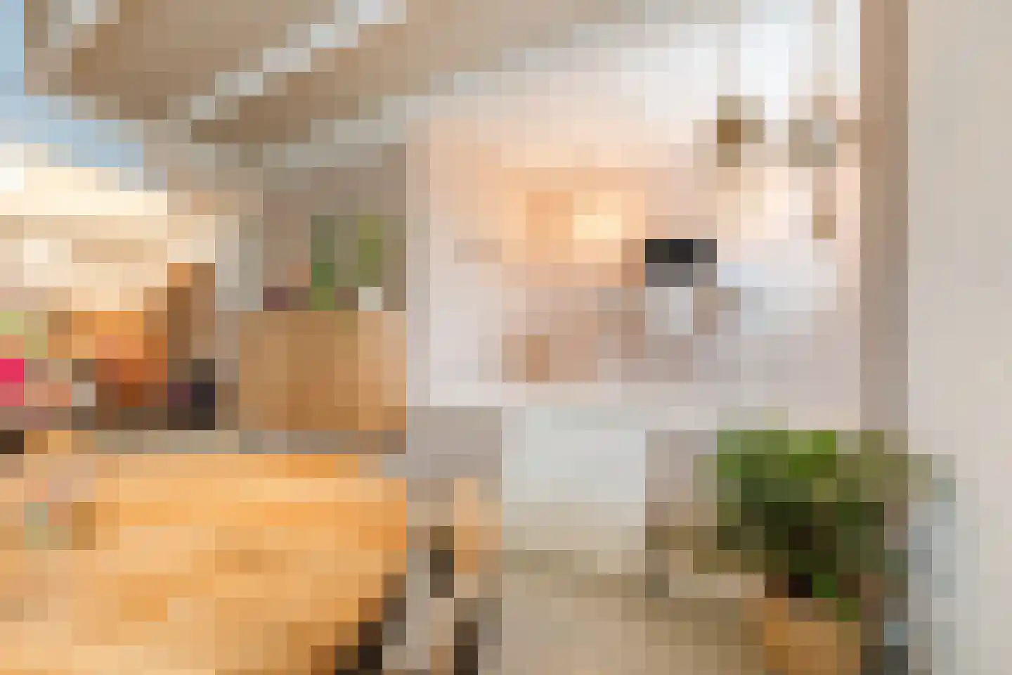 Smidstraat 99 Cuijk thumbnail 15