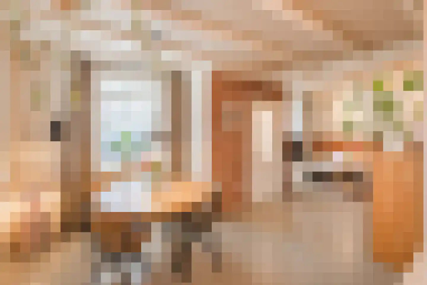 Smidstraat 99 Cuijk thumbnail 18