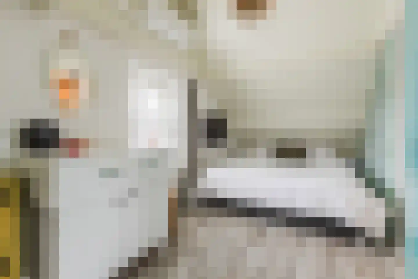 Smidstraat 99 Cuijk thumbnail 32