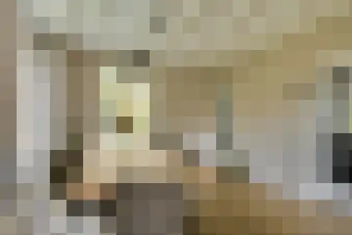 Smidsvuurke 14 Veldhoven thumbnail 10