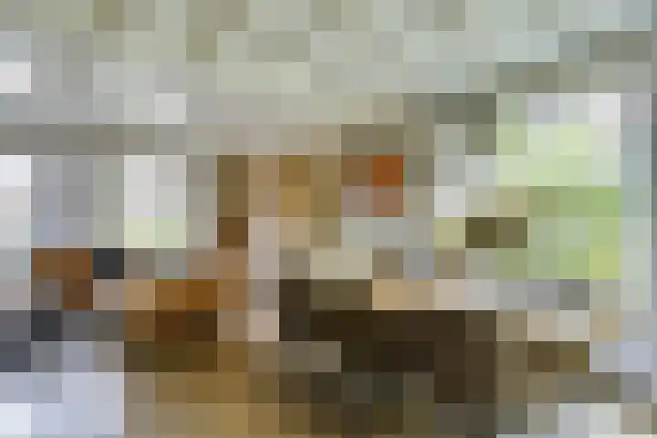 Smidsvuurke 14 Veldhoven thumbnail 11