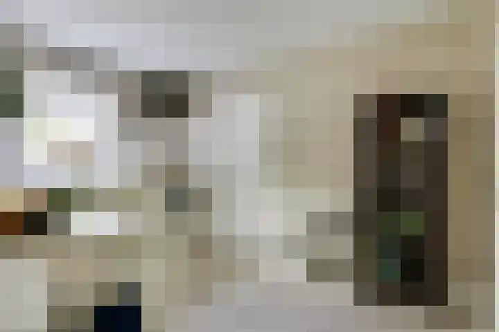 Smidsvuurke 14 Veldhoven thumbnail 16