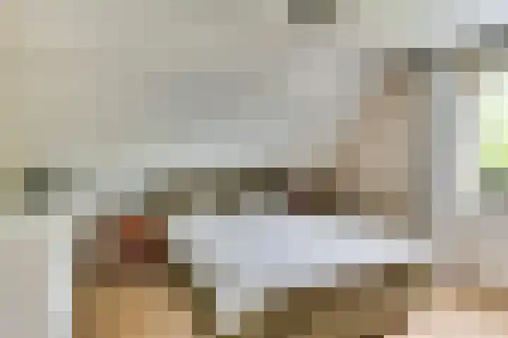 Smidsvuurke 14 Veldhoven thumbnail 24