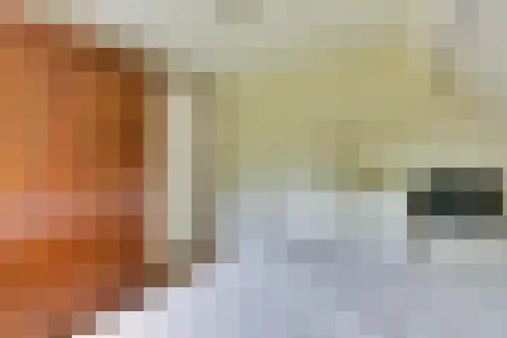 Smidsvuurke 14 Veldhoven thumbnail 25